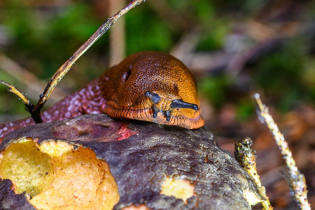radiant floor heating system under construction with sensors installed
